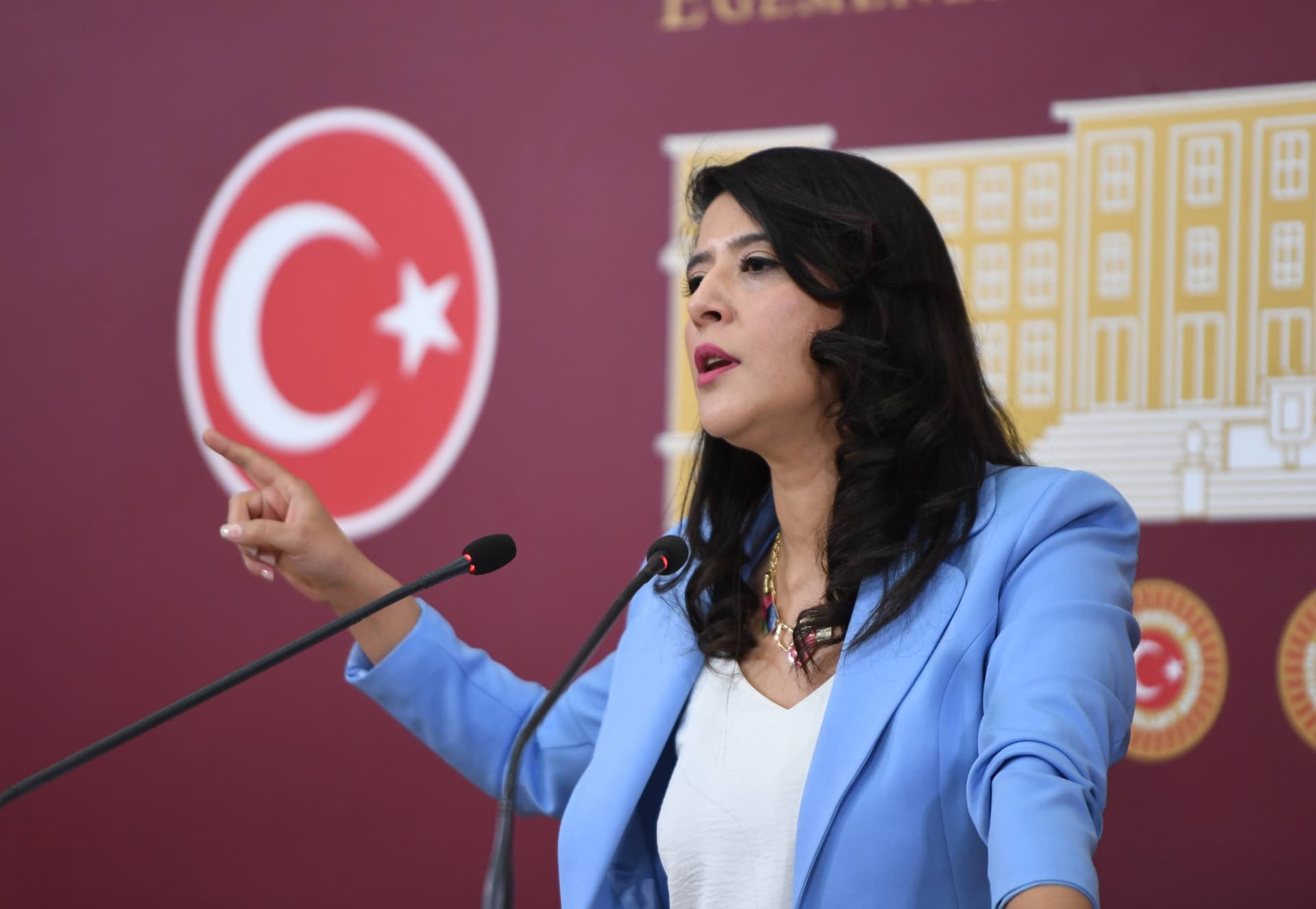 EMEP'li Karaca, "Ailem Güvende" operasyonlarını Meclis gündemine taşıdı