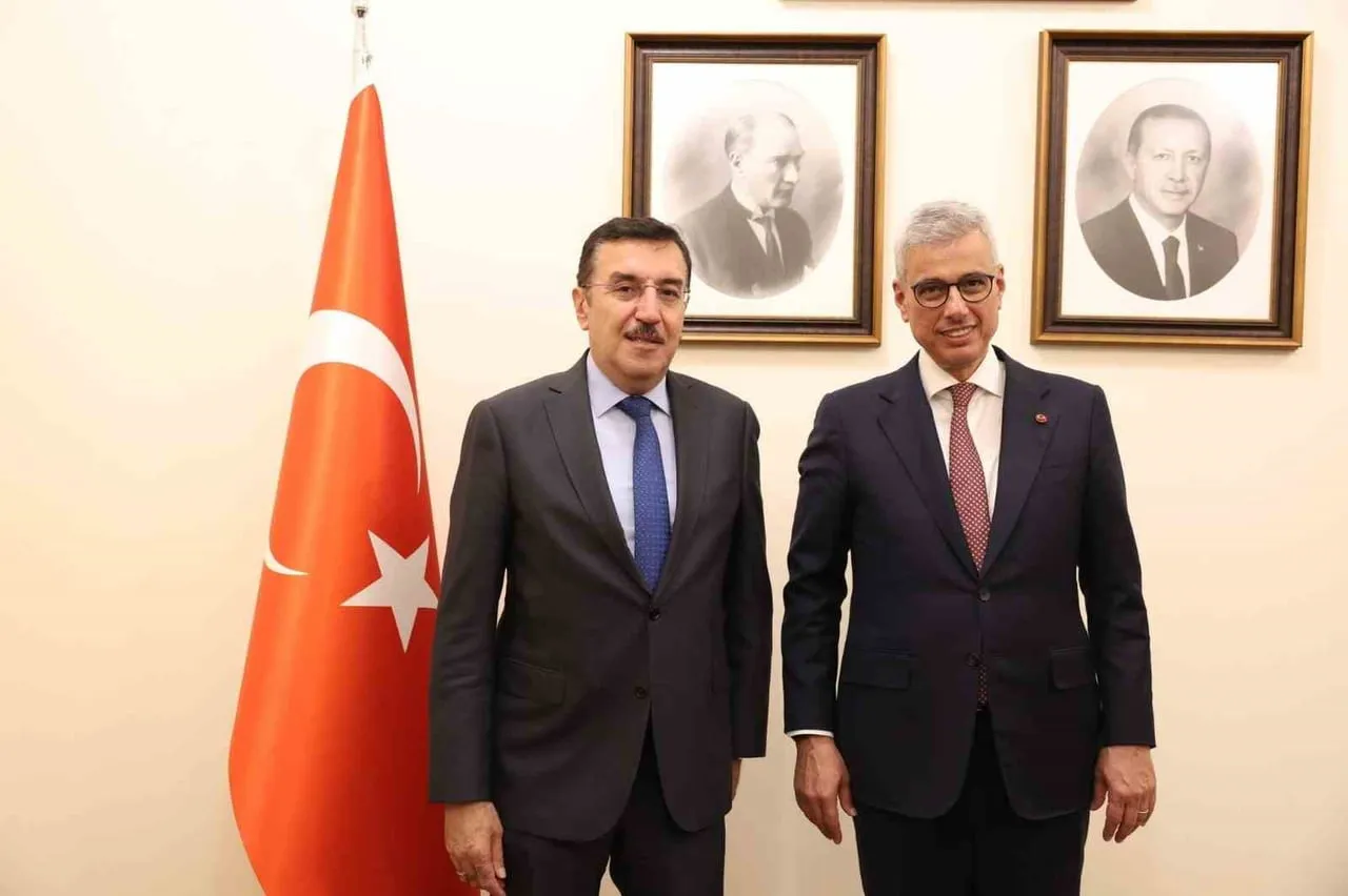 Malatya'da sağlık yatırımları için yol haritası konuşuldu