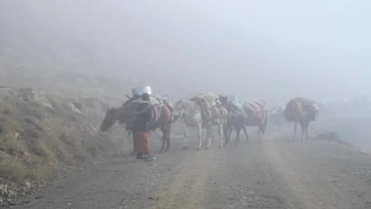 yayladan iniş başladı: şırnaklı göçerler sis içinde 20 günlük yolculuğa çıktı
