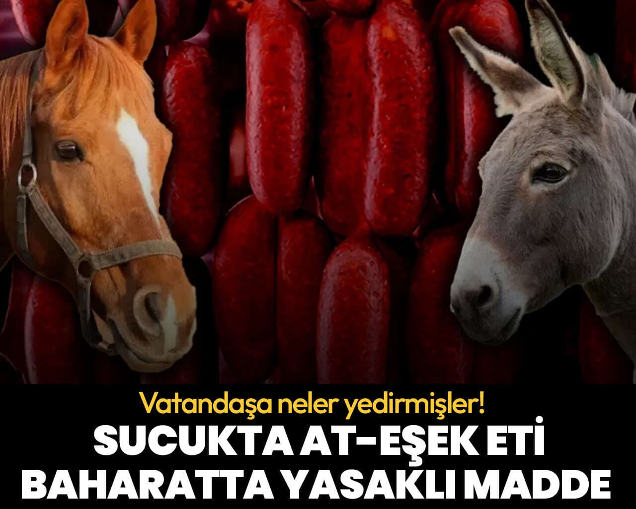 Gıda sahtekarları vatandaşa neler yedirmiş! Sucukta at-eşek eti, baharatta yasaklı madde çıktı