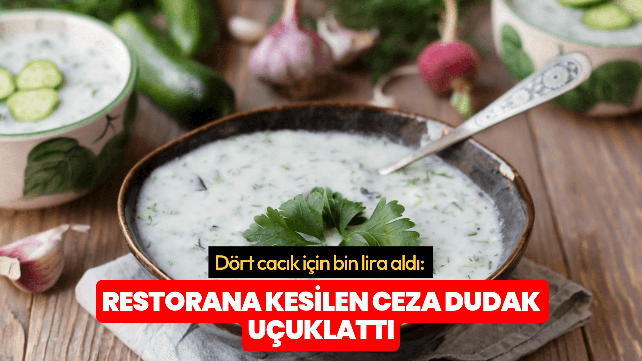 Dört cacık için bin lira aldı: Restorana kesilen ceza dudak uçuklattı
