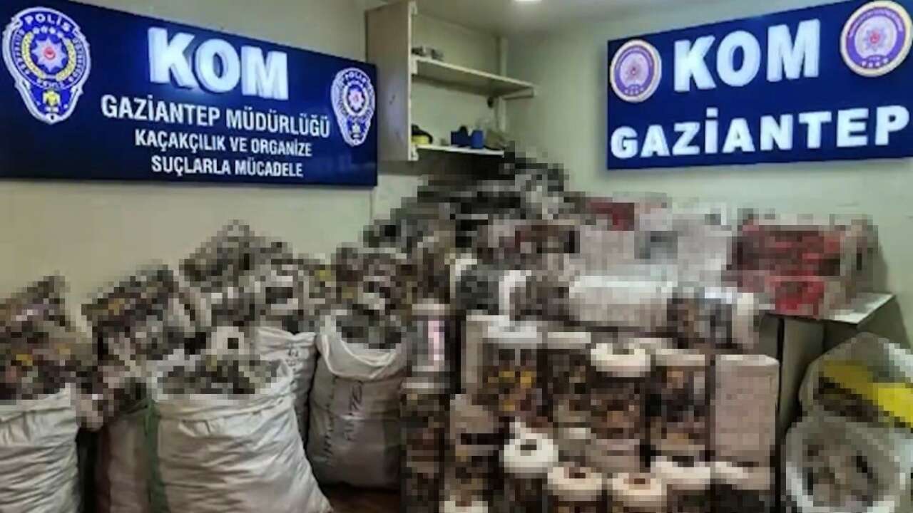 Gaziantep’te Kaçakçılık Operasyonu: 14 Bin Paket Gümrük Kaçağı Sigara Ele Geçirildi