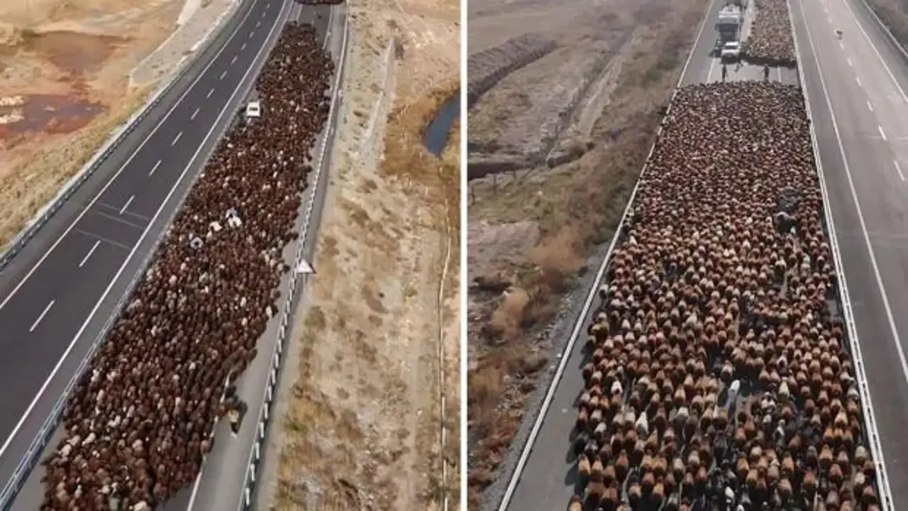 İki şeritli yolu kapattılar: Muazzam dönüş yolu görüntülendi!
