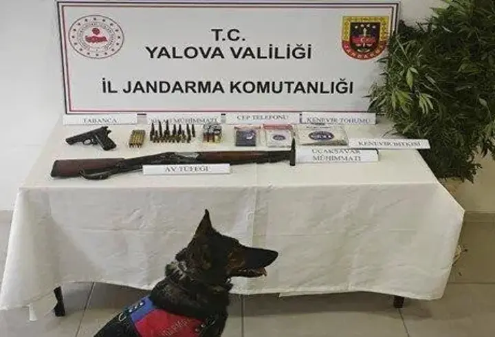 Yalova’da kenevir operasyonunda uçaksavar mühimmatı ele geçirildi