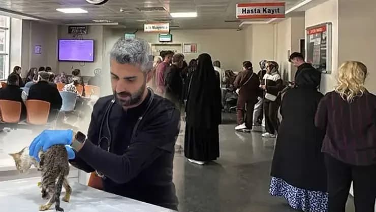 Tokat’ta 5 bin kişiyi hastanelik eden salgında evcil hayvan detayı!