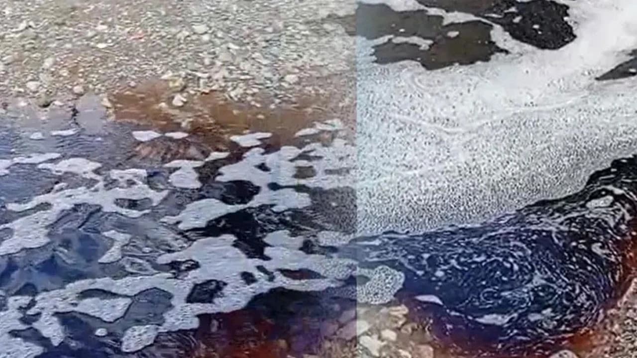 Görüntüler Türkiye'den: Deniz yüzeyi kırmızıya boyandı