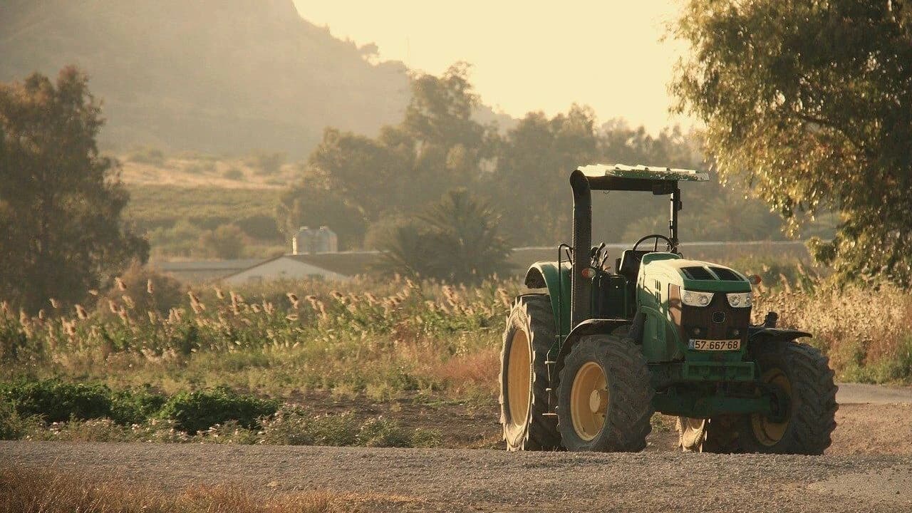 Kocaeli'de  tarım arazileri su altında kaldı