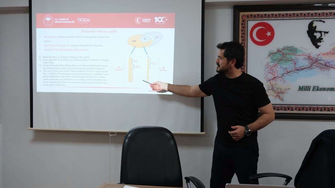Erzincan’da 34 bin 840 koyun için ıslah çalışması yürütülüyor