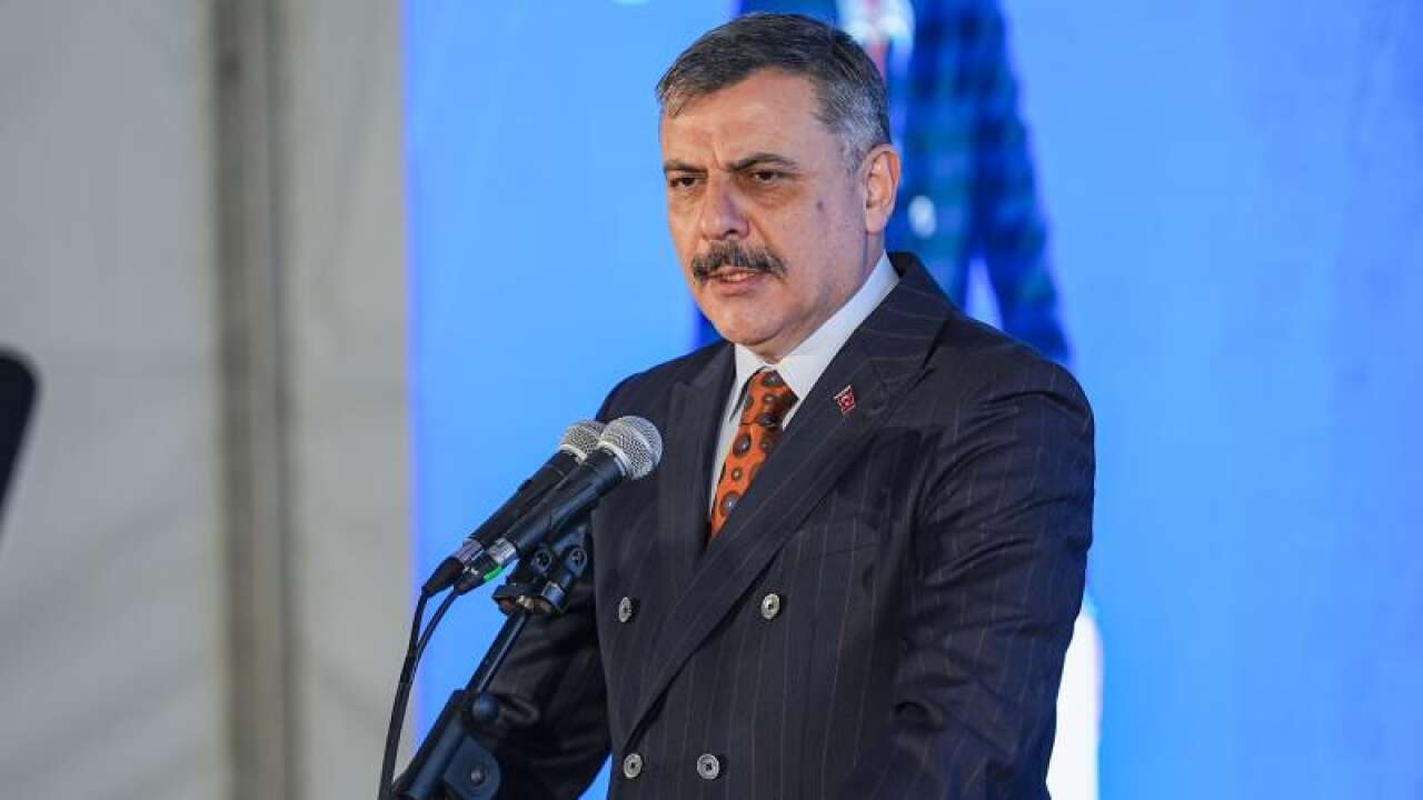 Bakan Çiftçi'den sahipsiz hayvanlarla ilgili açıklama