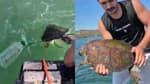 Milas'ta pet şişe bağlanmış caretta carettayı denize açılıp kurtardılar