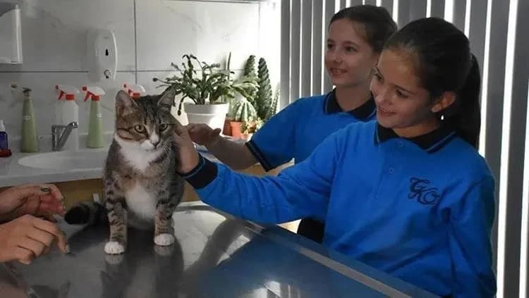 Harçlıklarını kendilerine değil ona ayırdılar! Kurabiye’nin tedavisi için harekete geçtiler
