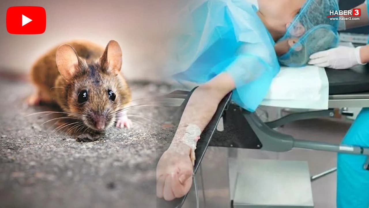 İstanbul’da şehir hastanesindeki ameliyathaneden gelen skandal görüntüler infial yarattı!