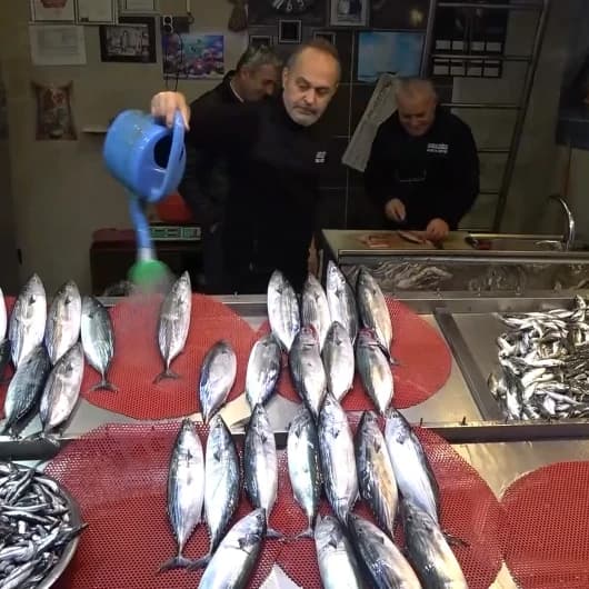 Trabzon'da palamut bolluğu: 12 bin kilo avlandı, tanesi 40 TL'ye kadar geriledi