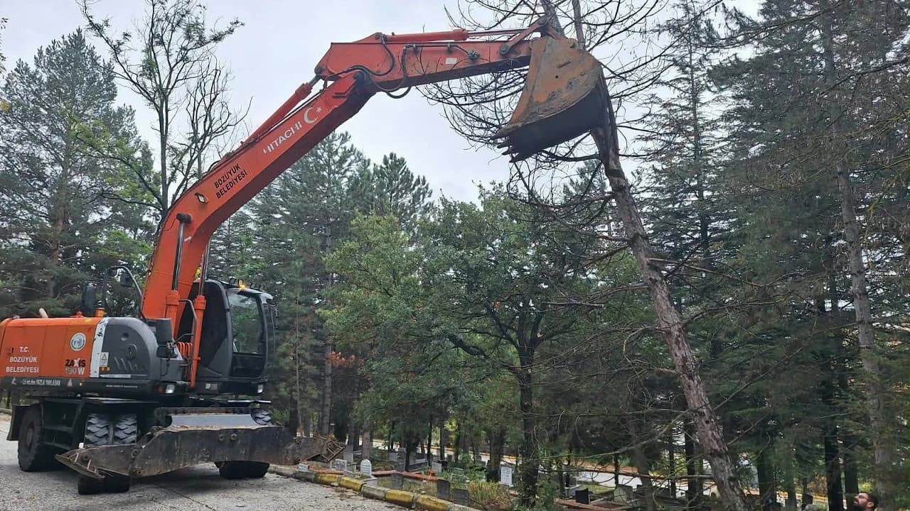 Rüzgârın devirdiği ağaç böyle tahliye edildi: Belediyeden hassas operasyon